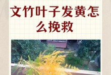 怎样处理黄叶的竹子转运？（黄叶竹子转运的关键步骤及注意事项）