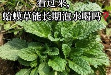 蛤蟆草的花开满田野——探秘蛤蟆草的开花之路