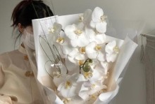 蝴蝶兰浇水技巧大揭秘（科学浇水，让蝴蝶兰焕发生机）