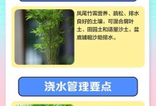 凤尾竹叶子为何下垂？（探究凤尾竹叶子下垂的原因及相关解决方法）