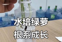 绿萝长出根的原因及过程解析（探索绿萝生长的奇妙过程与关键因素）