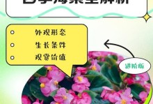四季海棠的种子及其繁殖方式（探究四季海棠的种子特征和种植技巧，了解其繁殖方式）