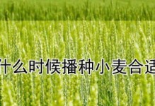 大豆播种时间掌握技巧（春季播种与秋季播种，你该如何选择？）