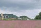 粉黛乱子草开花时间及特点（探究粉黛乱子草开花的时间、外观及生态特点）