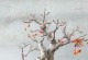 海棠盆景的养护技巧与养殖方法（打造一盆栩栩如生的海棠盆景，从养护方法开始）