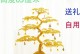 用发财树的叶子手工创作，点亮创意生活（发财树叶子手工艺术，打造独特时尚的家居装饰品）