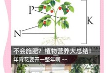 冬季花草施肥技巧与注意事项（冬季花草施肥的时间、方法及频率）