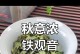 铁观音采摘全攻略（探秘铁观音的采摘时间和收获季节，品味出最优质的茶香味道。）