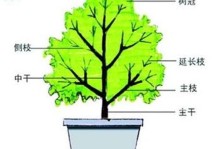 如何正确修剪桅子花——打造美丽而健康的花园（修剪方法、关键技巧及注意事项）