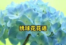 发财的花，助你财源滚滚（花开富贵，花开发财，花开人生，财源不断）