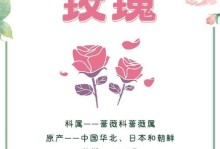 玫瑰花的生长习性及生长环境条件（探究玫瑰花的生长规律，合理营造适宜的生长环境）