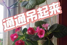 大岩桐的养护秘籍（打造健康繁茂的大岩桐，一步步教您如何养护）