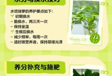 水培绿萝的蔓延之道（掌握关键步骤，让绿萝长出美丽蔓延）