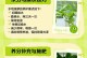 水培绿萝的蔓延之道（掌握关键步骤，让绿萝长出美丽蔓延）