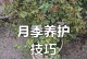 月季过冬施肥技巧（冬季月季养护与施肥方法）