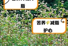 苦荞产地揭秘（苦荞产地定位、优质种植区域、全国产量排名等详细介绍）