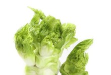 大头菜的特征和栽培方法（一起探究这种受欢迎的蔬菜）