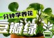 豆瓣绿小盆栽养护秘籍（打造盆栽的绿色小天地，轻松享受自然生活）