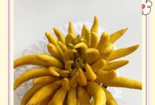 如何自制佛手肥料（以佛手为主要原料制作高效有机肥料的方法和步骤）
