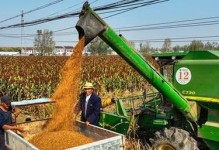 高粱产量高吗？——探究高粱的亩产量（高粱的亩产量和种植技术、气候环境有关吗？）
