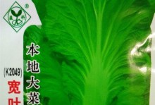 芥菜的生长周期及栽培技巧（从播种到收获，全面掌握芥菜生长过程）