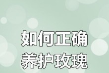 玫瑰花修插指南（学会修插技巧，让你的玫瑰花开得更美）