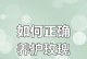 玫瑰花修插指南（学会修插技巧，让你的玫瑰花开得更美）
