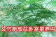 文竹养护指南（文竹养护全攻略，学会关键技巧让你的文竹健康生长）