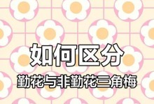探索三角梅的世界（独特之美与艳丽色彩的迷人植物）