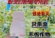牡丹花苞上有虫怎么办？解决方法大揭秘！（揭秘牡丹花苞上虫害的防治措施和注意事项）
