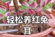 多肉兔耳朵的繁殖步骤（轻松学会多肉兔耳朵的繁殖技巧）