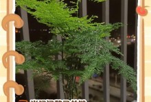 以水栽转运竹黄技巧与方法（掌握水栽转运竹黄的关键技巧，让竹黄茁壮成长）