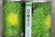苦菊种植全攻略（适合春季种植的花卉植物，让你的花园更美丽）