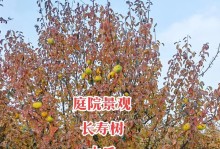 长寿树的繁殖方法探秘（揭秘长寿树的繁殖技巧，助你种出万年长青之树）