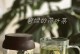 家居种植指南（以荷叶的种植方法和家养技巧，让你轻松享受绿色生活）