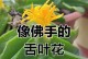 佛手掌的最佳肥料（选择合适的肥料，让佛手掌茁壮成长）