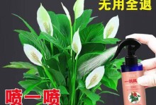 没有肥料，农作物如何顺利生长？（解决土壤贫瘠问题，助力农业发展的关键方法探究）