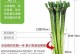 荷花竹水培养殖全攻略（从种植到维护，让你成为荷花竹高手！）