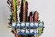 龙骨掌养护指南（打造繁茂生机的龙骨掌）