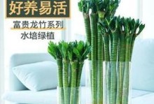 荷花竹的生长之路——如何让其长得更粗更壮（以荷花竹的生长为例，探讨植物生长环境对茎干粗壮的影响）