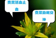 以费菜怎么种好看（从选种到养护，成为费菜种植达人的秘籍）