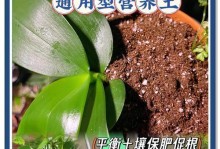 多肉花土配方与养护技巧（打造多肉花盆中的完美土壤）