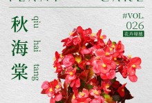 丽格海棠的种子生长及繁殖方式（探究丽格海棠的种子生态学特征及栽培技巧）