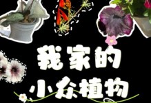 多肉植物的种植技巧（以一片多肉植物怎么种植为例，轻松掌握多肉植物种植的基本步骤）