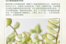 以爱之蔓锦服盆期的养殖技巧及注意事项（打造美丽庭院的首选植物，蔓锦服盆期的养护秘籍！）