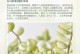 以爱之蔓锦服盆期的养殖技巧及注意事项（打造美丽庭院的首选植物，蔓锦服盆期的养护秘籍！）