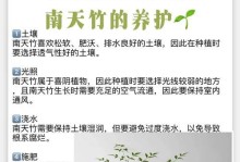 北方刚竹的养护与栽培技巧（了解北方刚竹的养护方法，让它在家中茁壮成长）