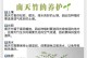 北方刚竹的养护与栽培技巧（了解北方刚竹的养护方法，让它在家中茁壮成长）