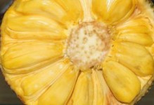 菠萝蜜催熟最佳方法（用科学的方法让菠萝蜜快速成熟）