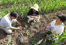 大豆播种时间选择的重要性（影响大豆生长的天气因素及栽培技术）